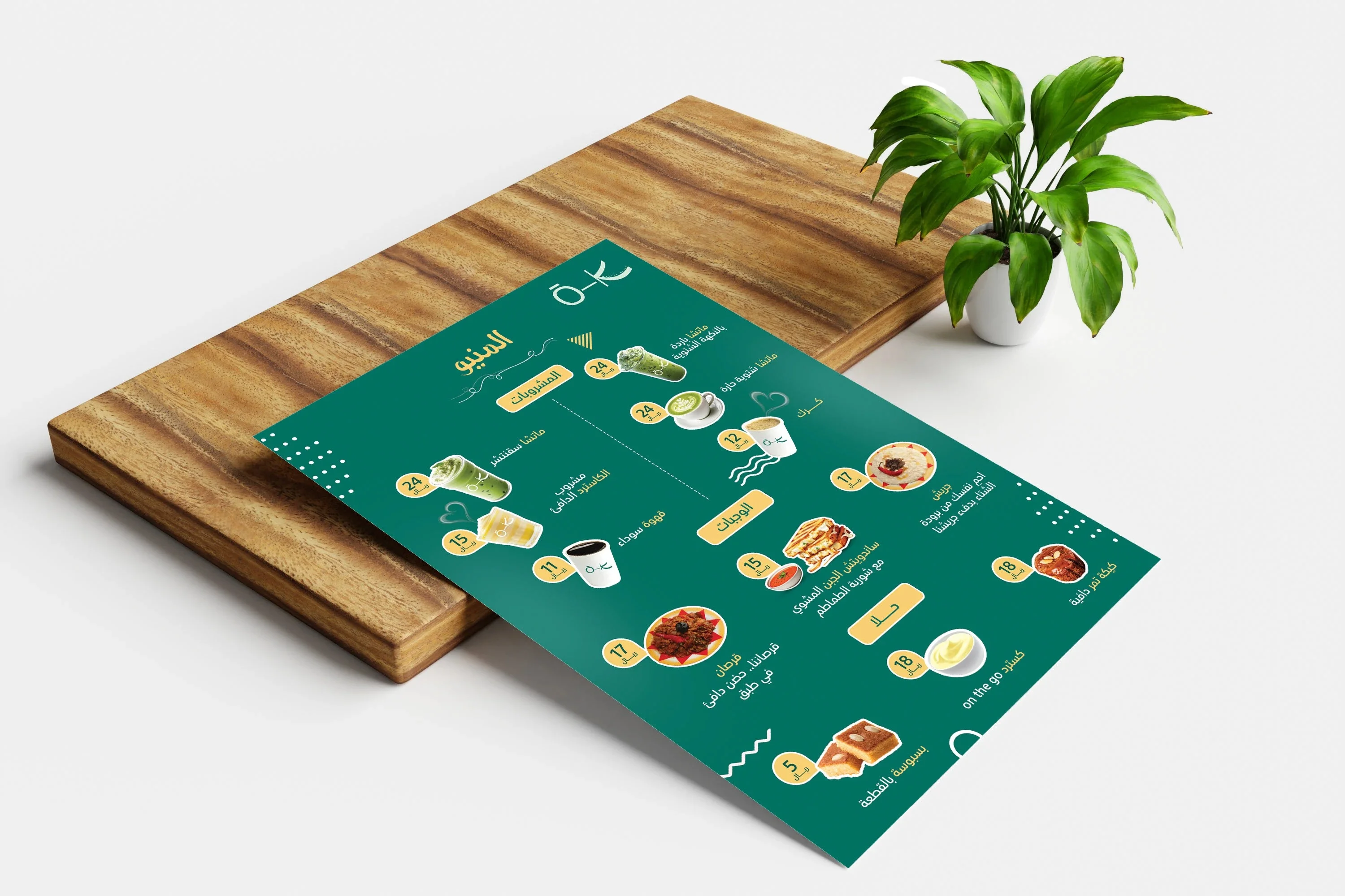 brocure profile design in dubai